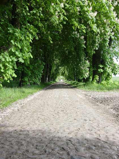 Picture of road from Bauerkuhl to Drefahl - Spring 2004