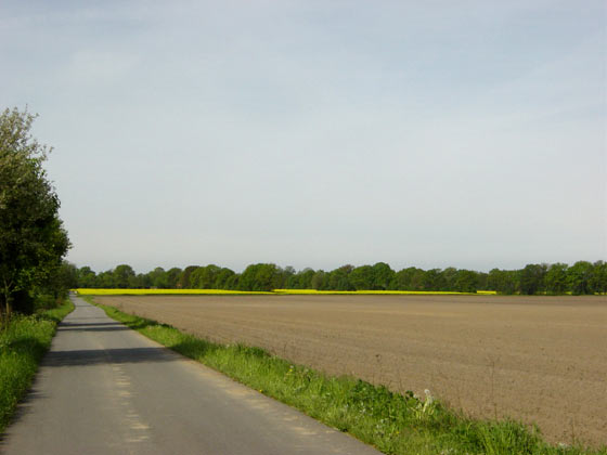 Picture of fields on road from Bauerkuhl to Brunow