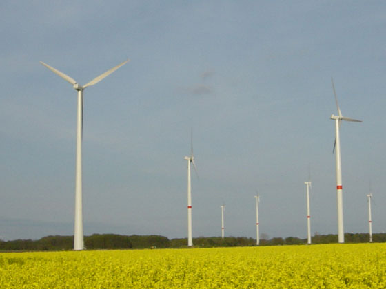 Picture of wind turbines from the road from Brunow to Kl