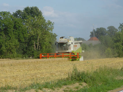 Picture of grain harvest (with Brunow church tower)