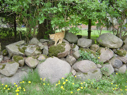 Picture of wall on church-grounds on Ziegendorfer Strasse (Spring 2003)