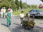 Picture of Erntefest parade