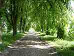 Picture of road from Bauerkuhl to Drefahl