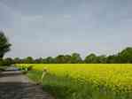 Picture of fields on road from Bauerkuhl to Brunow