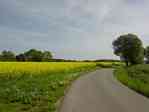 Picture of fields on road from Bauerkuhl to Brunow