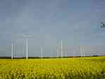 Picture of wind turbines from the road from Brunow to Kl