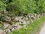 Picture of wall on Ziegendorfer Strasse in Brunow