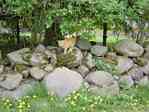 Picture of wall on the church-grounds on Ziegendorfer Strasse in Brunow